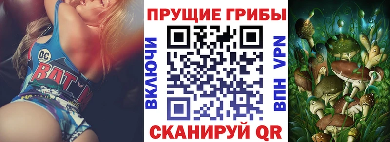 где продают наркотики  Котовск  ОМГ ОМГ зеркало  Галлюциногенные грибы Magic Shrooms 